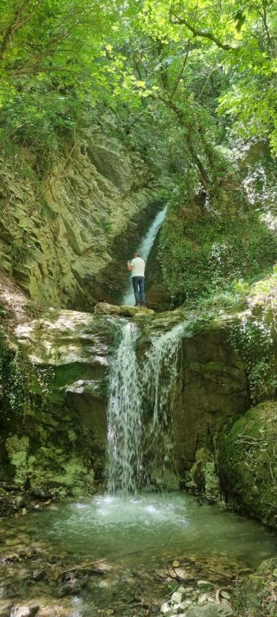 Ca' Del Tartufaio Villa Castelmauro ภายนอก รูปภาพ