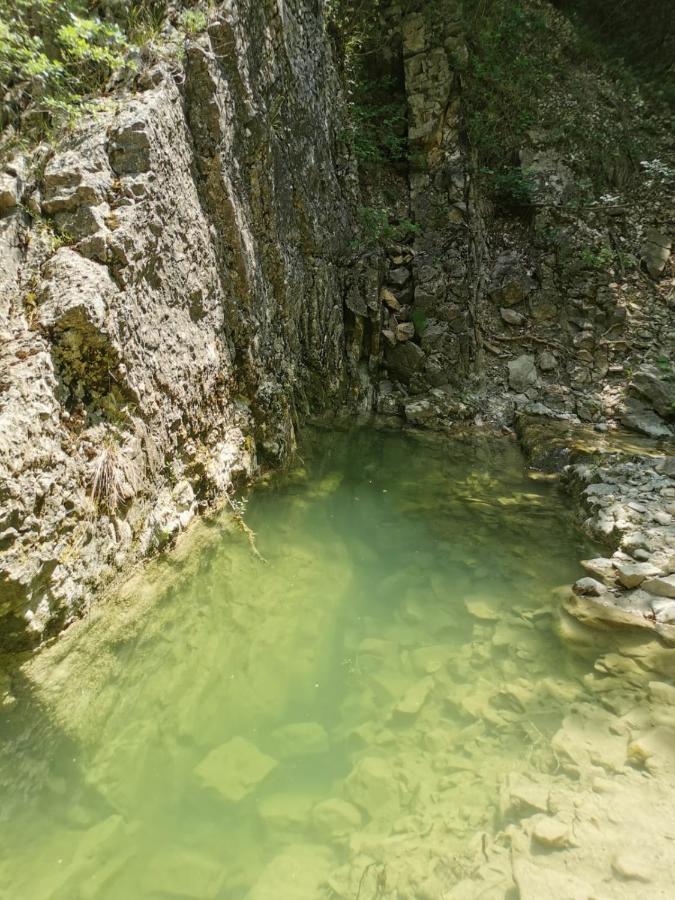 Ca' Del Tartufaio Villa Castelmauro ภายนอก รูปภาพ