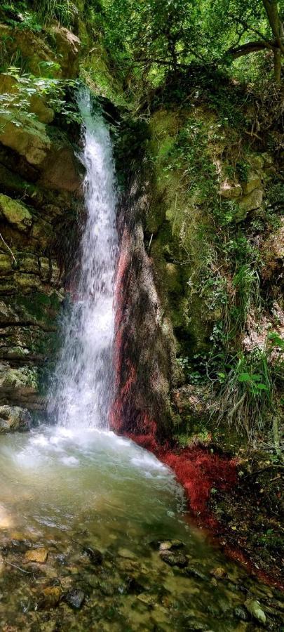 Ca' Del Tartufaio Villa Castelmauro ภายนอก รูปภาพ