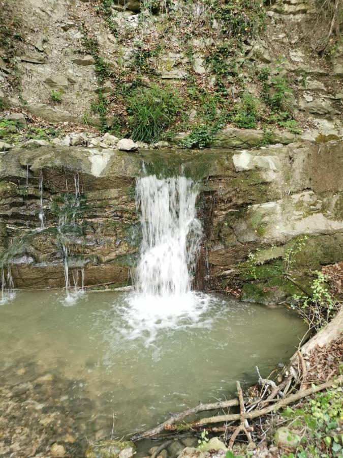 Ca' Del Tartufaio Villa Castelmauro ภายนอก รูปภาพ