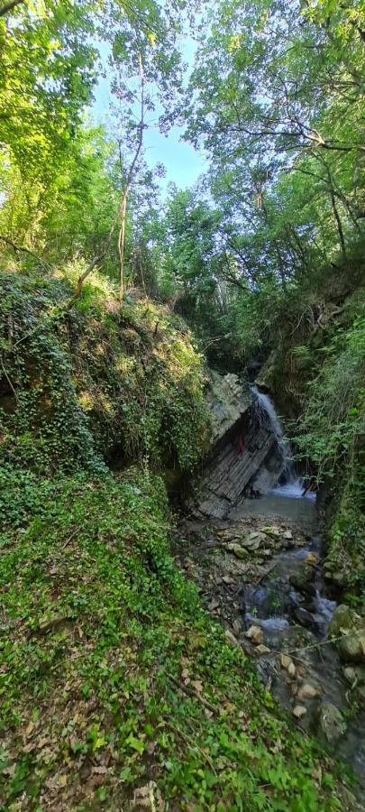 Ca' Del Tartufaio Villa Castelmauro ภายนอก รูปภาพ
