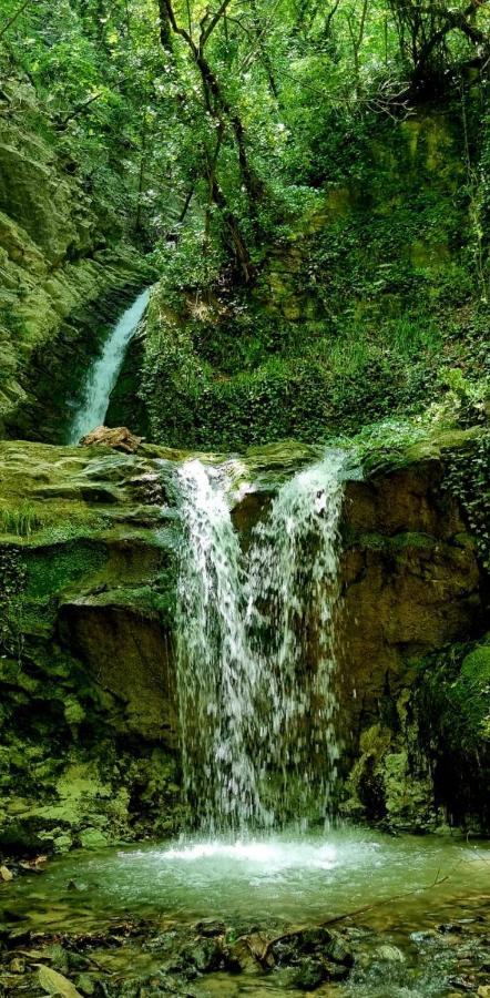 Ca' Del Tartufaio Villa Castelmauro ภายนอก รูปภาพ